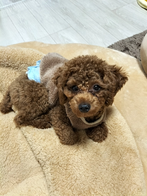 温かいご支援をありがとうございます🙇