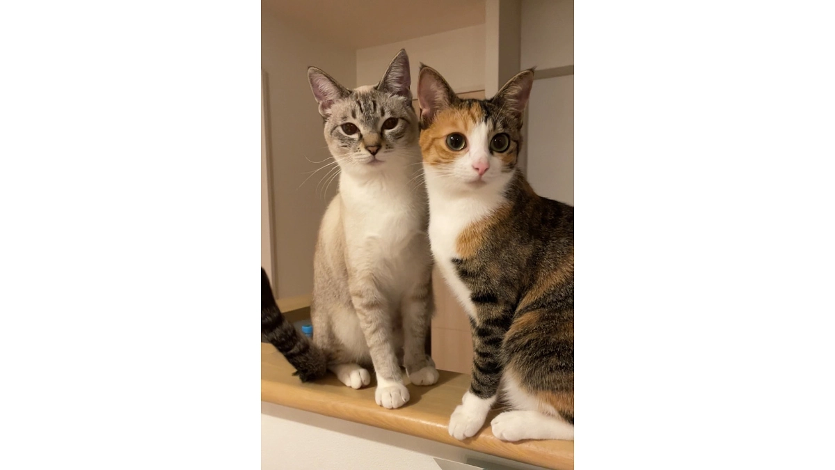 金子様（里親さん）より応援メッセージをいただきました！