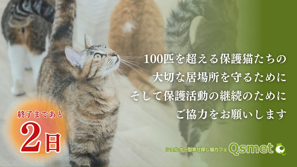 カウントダウン残り2日！皆さまのお気持ちが大きな力に