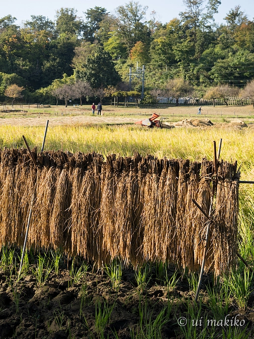 ワークショップを開催しました！