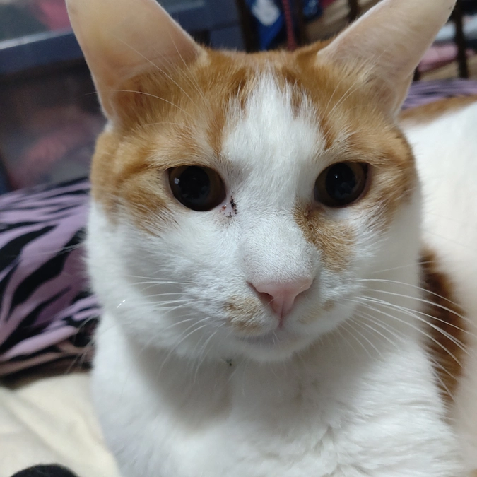 コロン君💕の　おめめ　が~