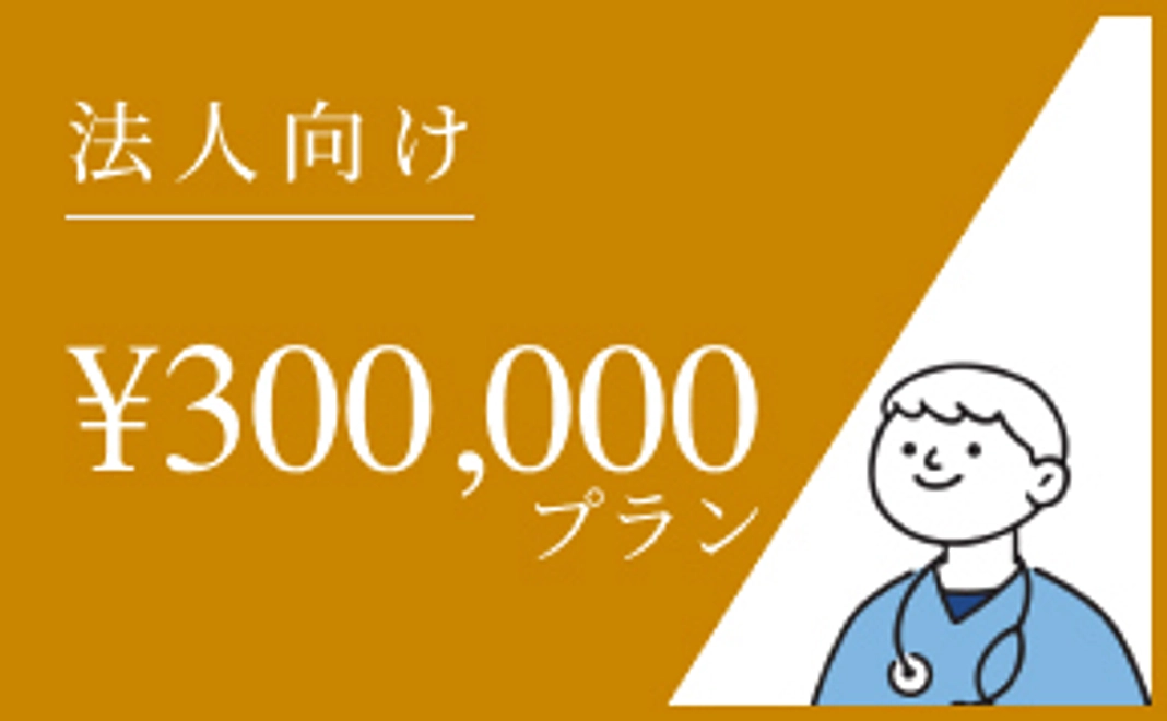 （法人向け）300,000円プラン