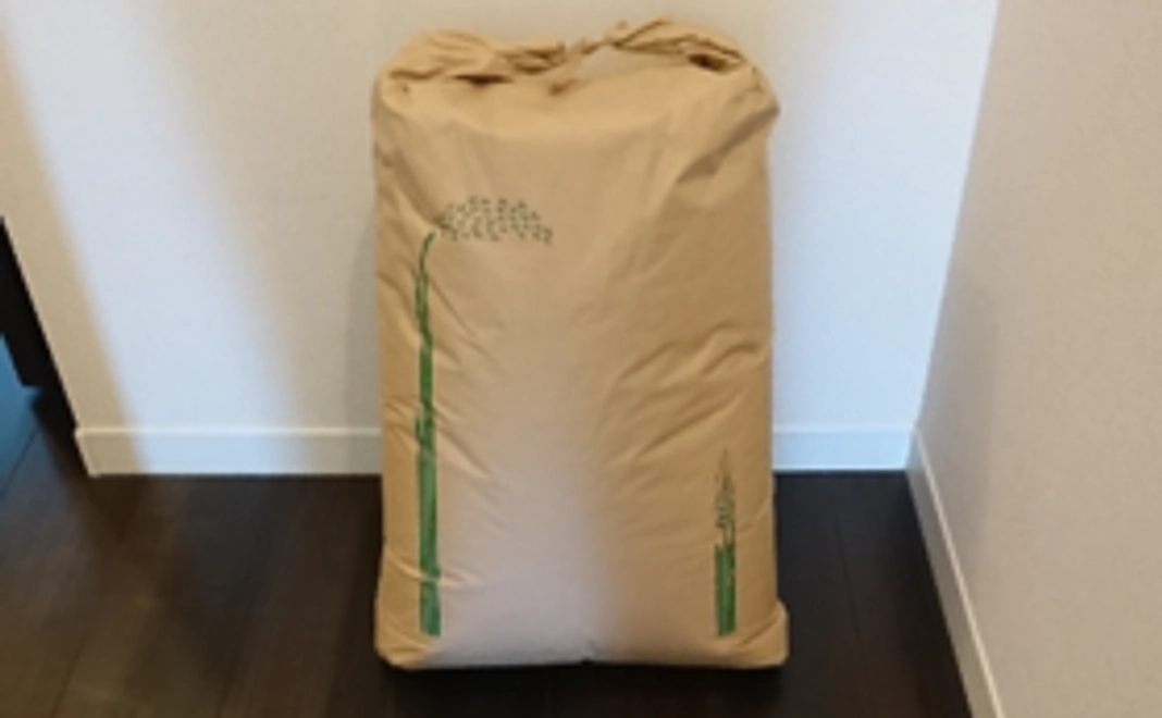 新米直送（玄米10キロ）