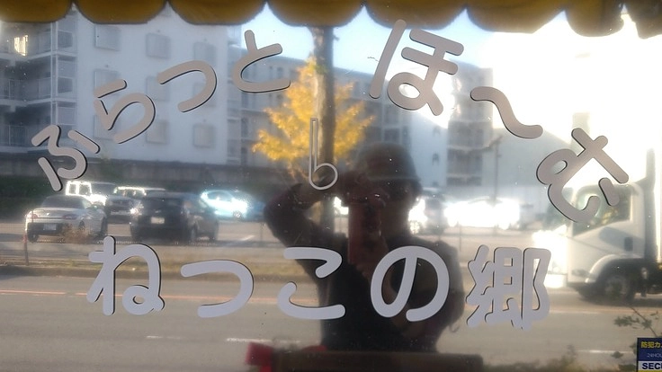 家から出にくい子どもたちや、主婦の方など地域の家族への居場所づくり