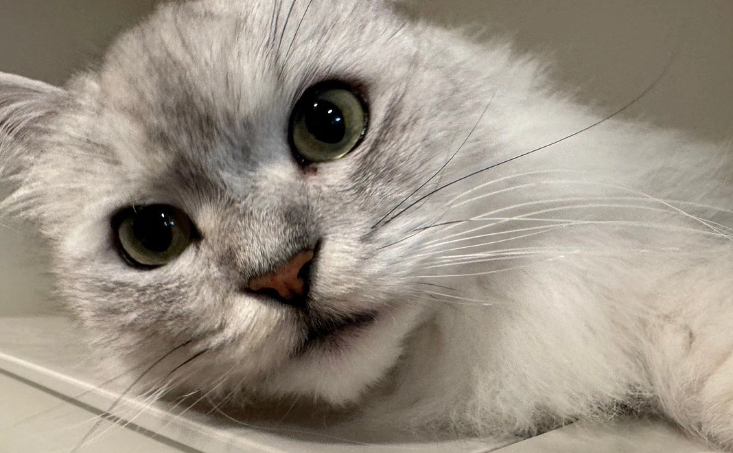 感謝のメール　6