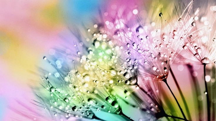 みなさんと一緒に2023大会にて全ての分科会に情報保障をつけたい！