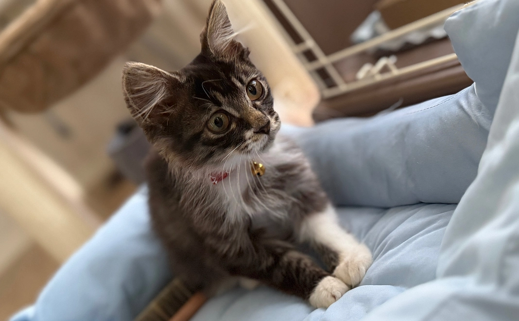 ジジ応援プラン③