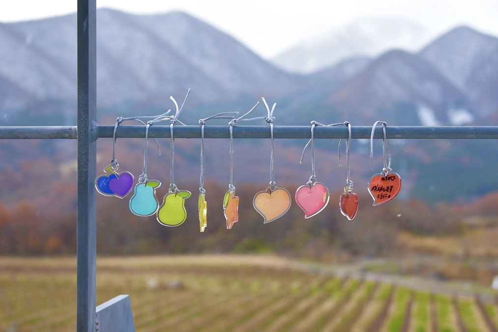 ご支援いただいた方々への御礼とプロジェクト開始報告