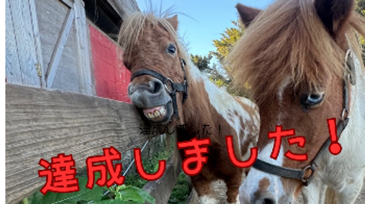 達成しました！ありがとうございます！