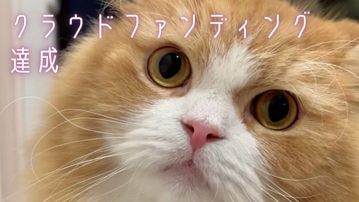 お陰様でクラウドファンディング達成いたしました！