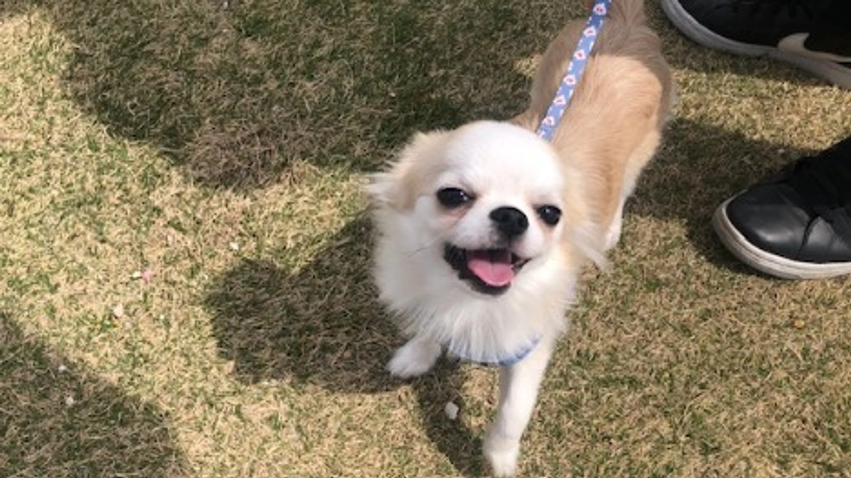 ”術後の経過報告⑨”です。