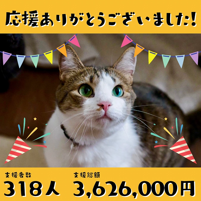 応援ありがとうございました‼️