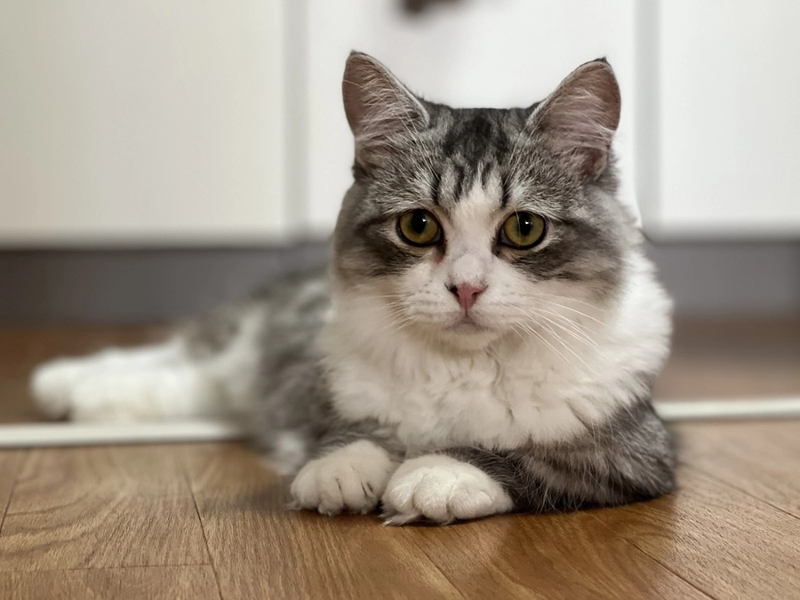 治療22日目のココロの様子