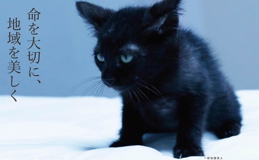 5000円コース シンプル応援セット