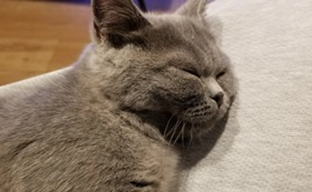 リターン不要１