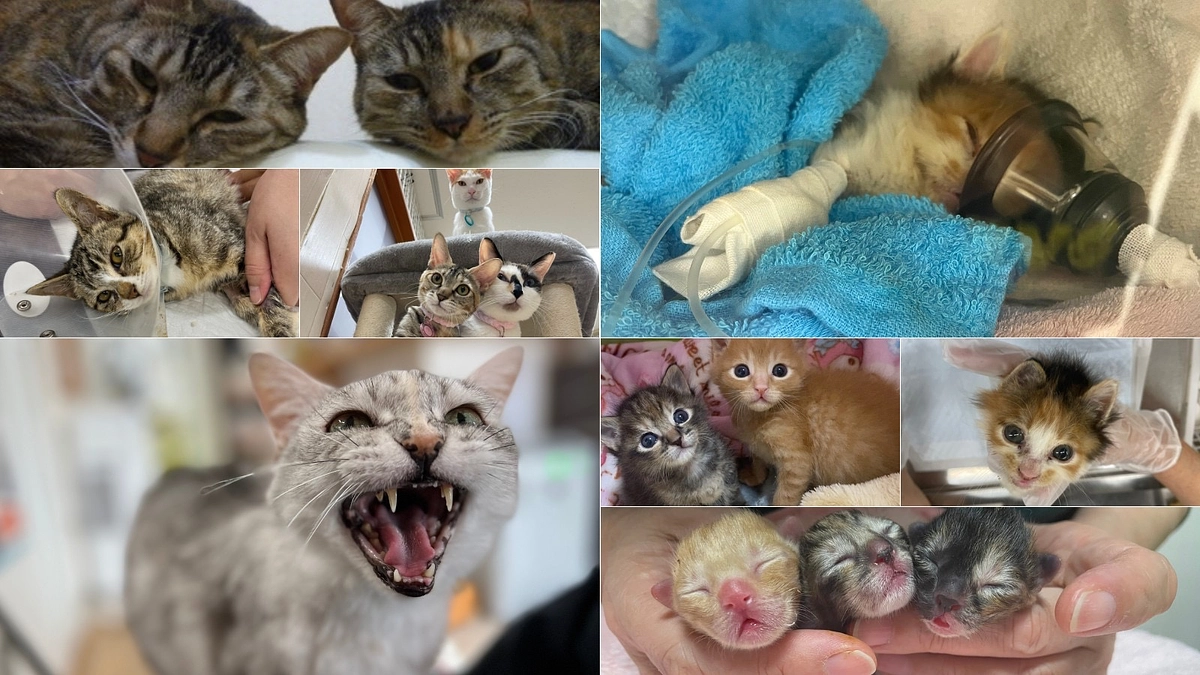 挑戦を重ねる事で