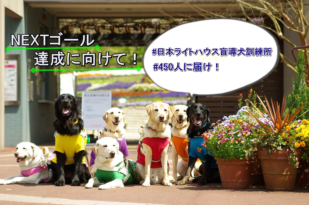 【#450人に届け！】ラストスパートに向けてTwitter応援企画第2弾を行います