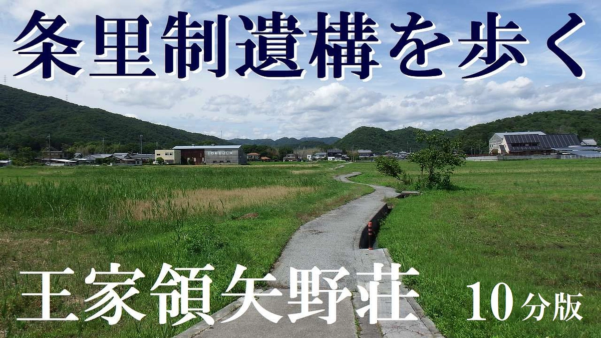 支援者の方と矢野荘の条里制を歩きました。