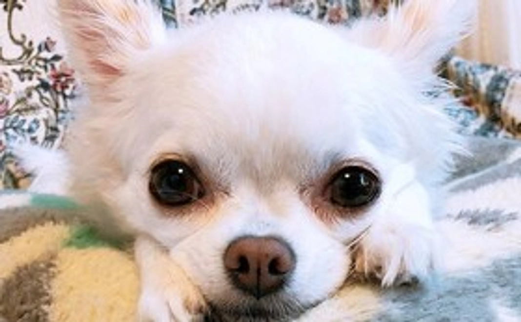 ミルクを応援！①