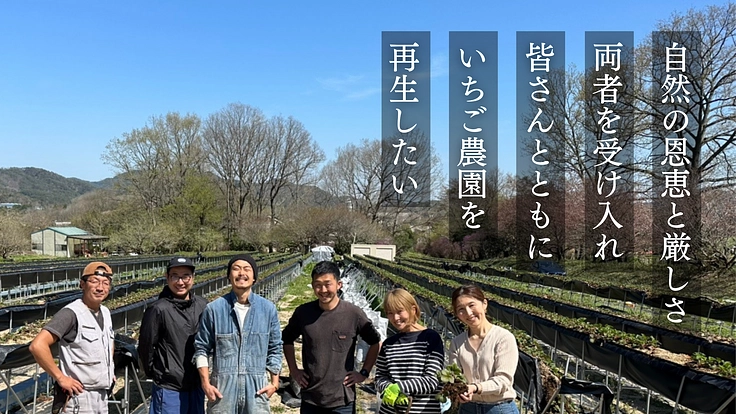 サゴタニ牧農｜倒壊したいちご農園。ともに、災害に負けない農園へ