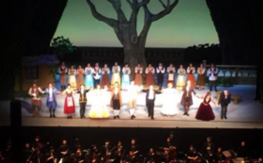 【特別賛助会員】今後一年間の沖縄オペラアカデミーの活動を応援！