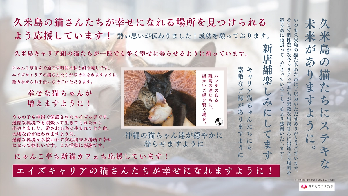 400万円達成🐱✨