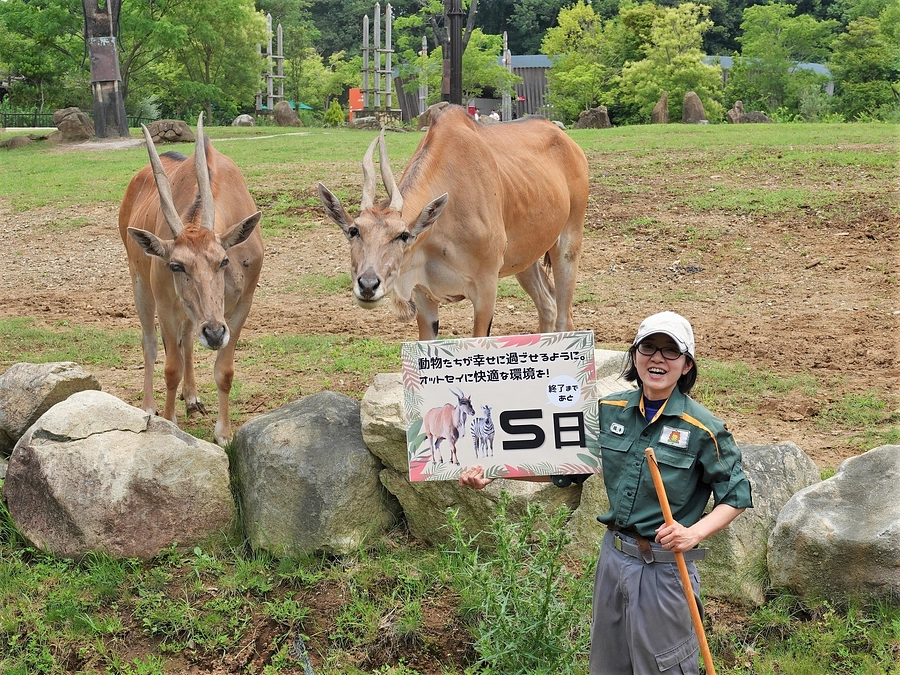オットセイに快適な環境を！～プロジェクト終了まで【あと5日】～