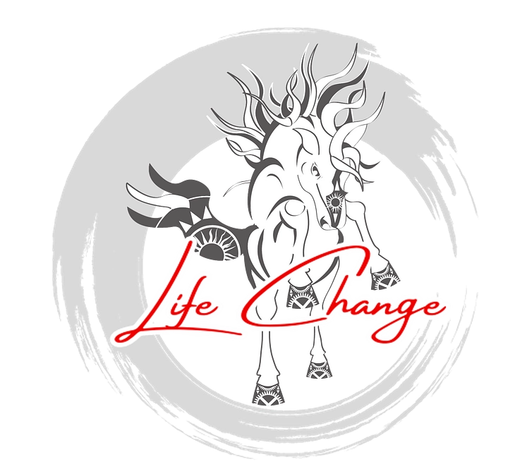 みなさまへのお礼と、馬場の状態及び肢への負担について