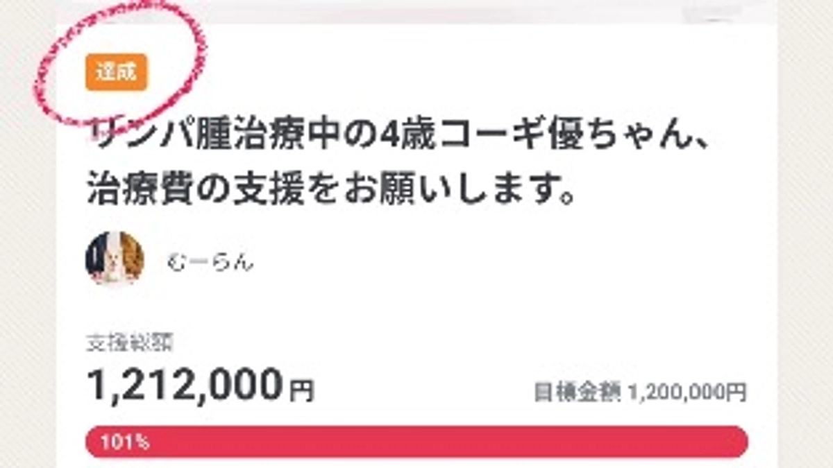 目標金額に達成しました！！！