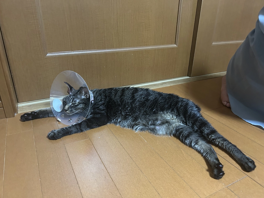 退院しました！