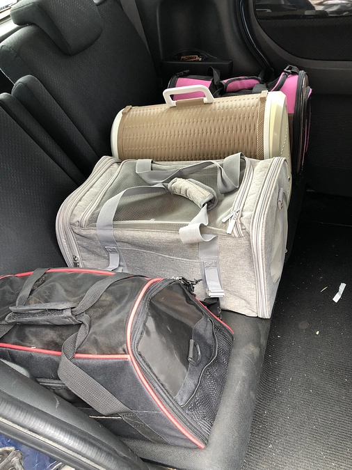 無事に帰ってきますように…