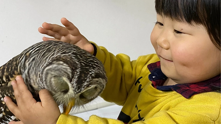 カフェにキッズルームを。動物と子ども達の笑顔を同じ空間に。