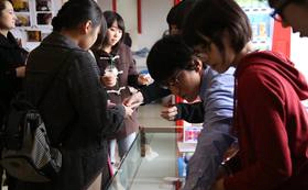 確原色◆招待券1名分◆