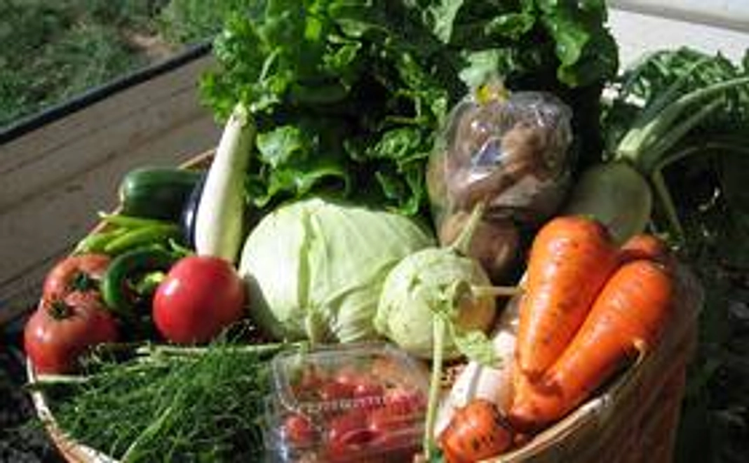 有機栽培の野菜セットをお届けいたします!