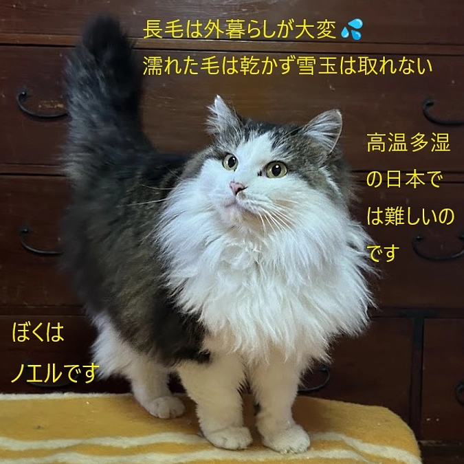 ☆応援に励まされています！