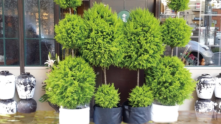 世界初！！土のう型プランター開発！緑豊かで安全な街を創る！