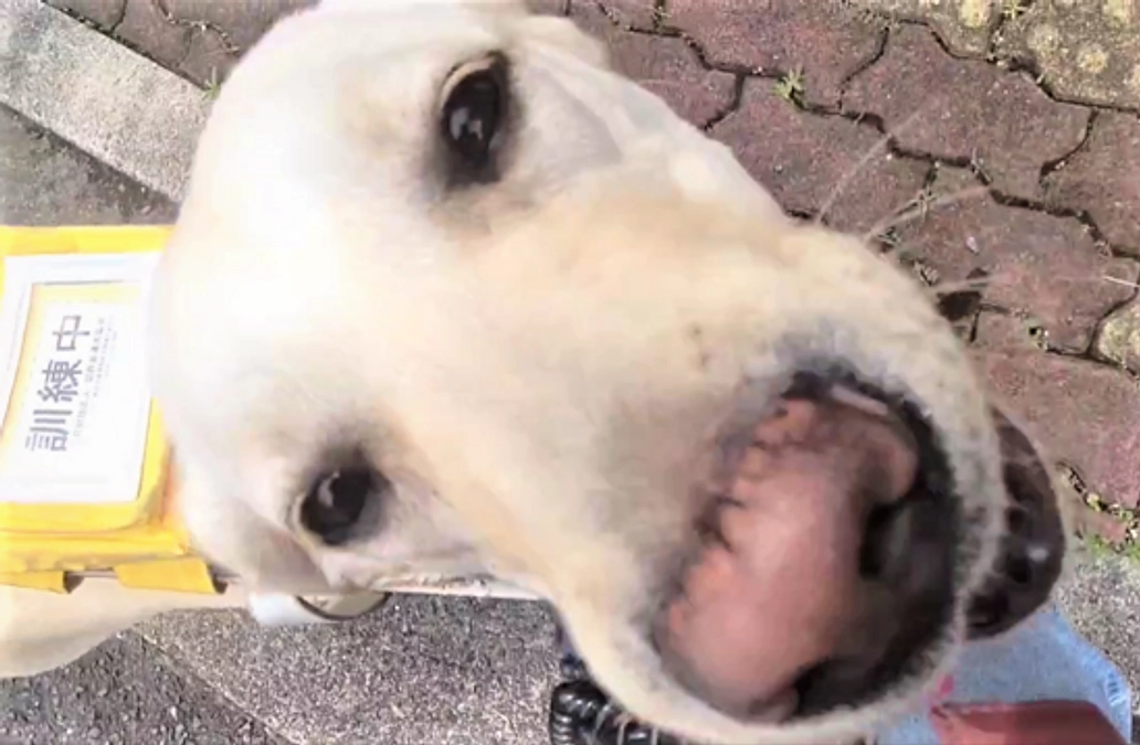 夏の訓練（２０２３／０７／０２）