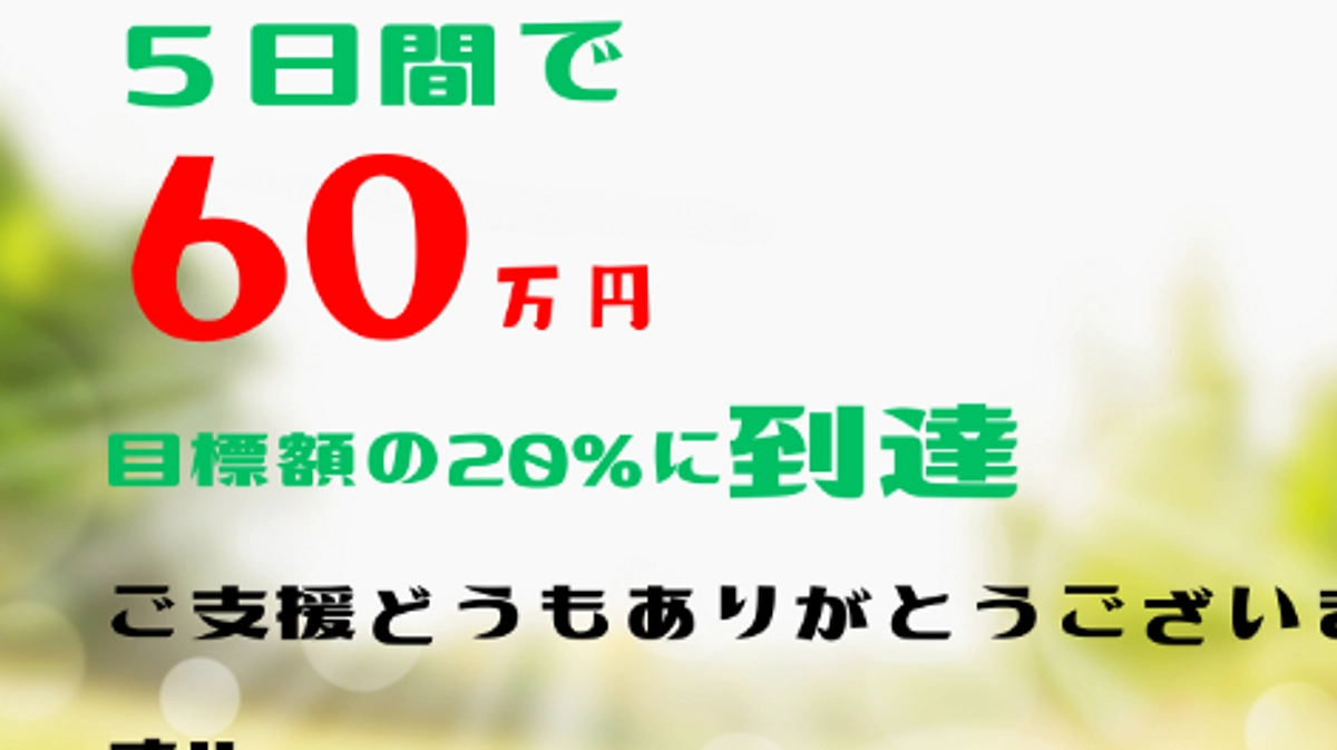 【60万円突破！】4/18、19のあわねこ保育園