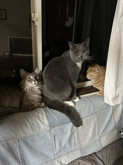 ⏰残り5日間⏰あと6万8千円足りません😭