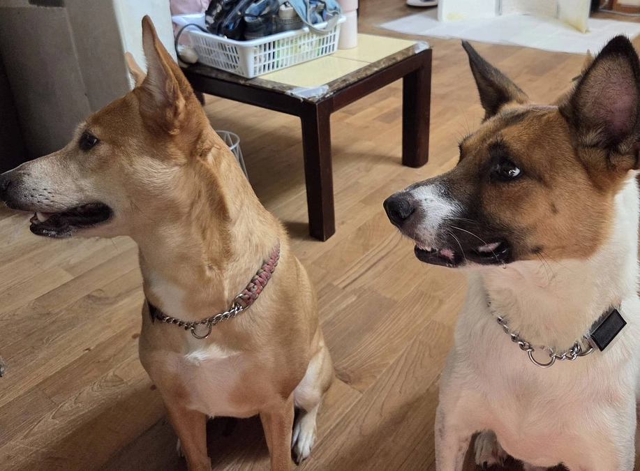 目標まであと82万円。レーベン会計のだいたいの様子