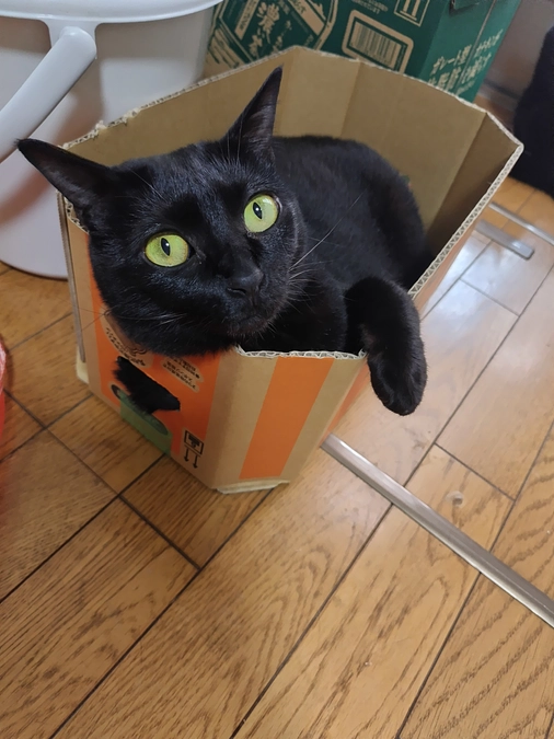 おはようございます