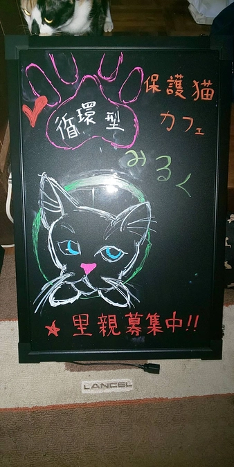 開店中、看板です。