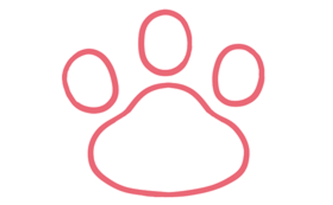 【1000円コース】フード支援