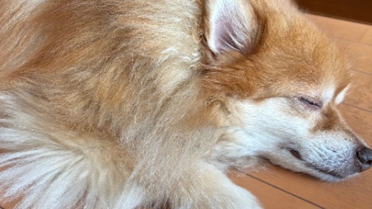 手術日が決まりました！