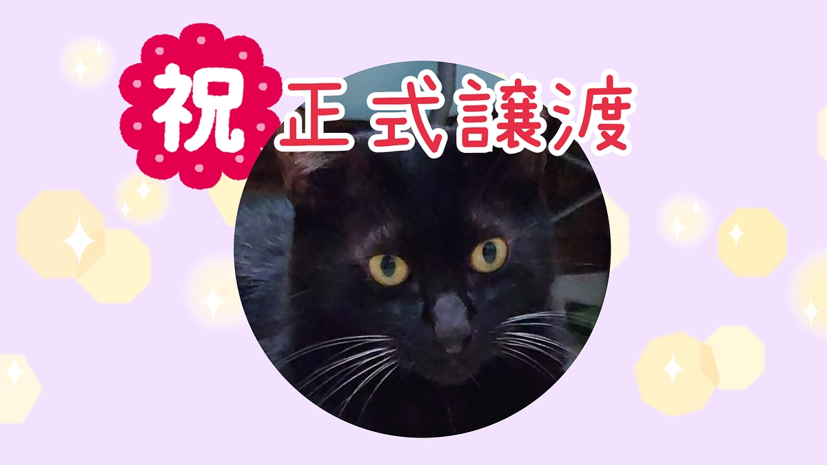 さくらねこから愛され家猫へ