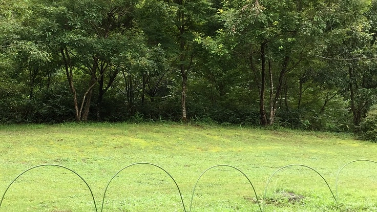 武蔵村山市の痒い所に手が届くようなサービスを我が市に設立したい