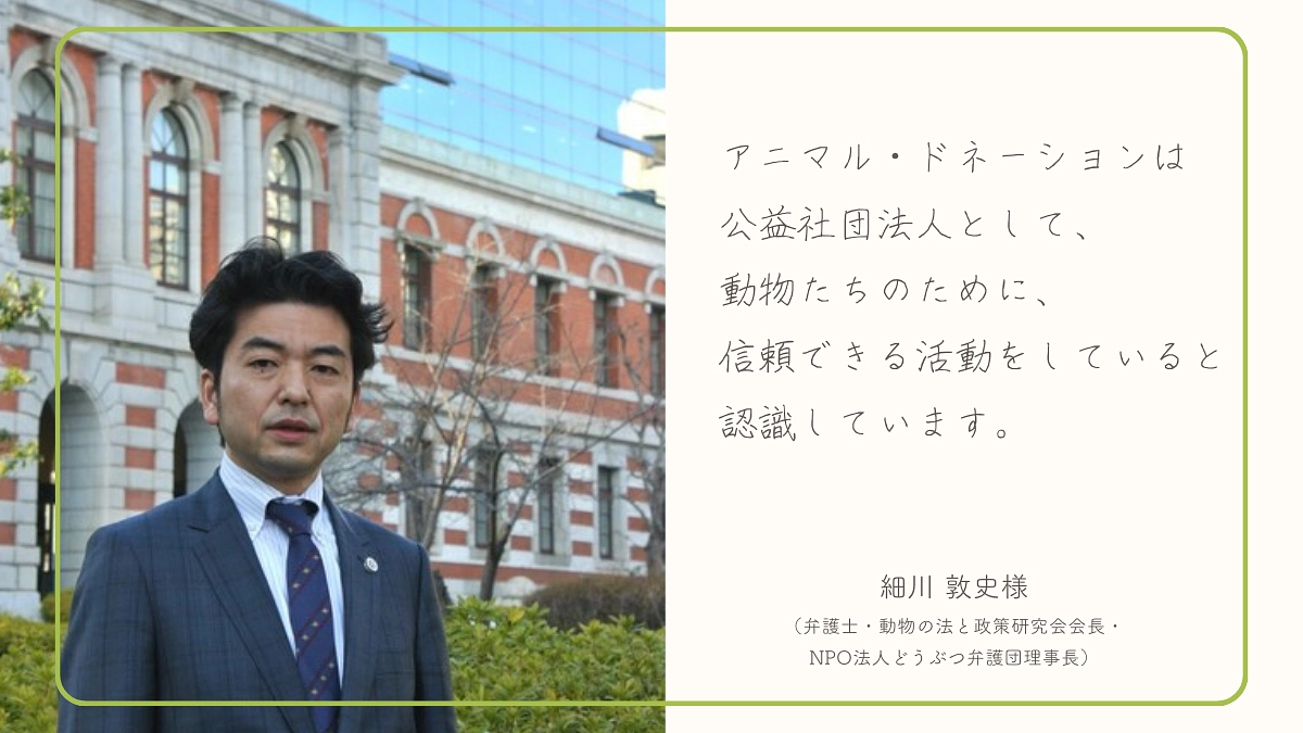 【あと5日】細川 敦史様（弁護士・動物の法と政策研究会会長）から応援メッセージをいただいております！
