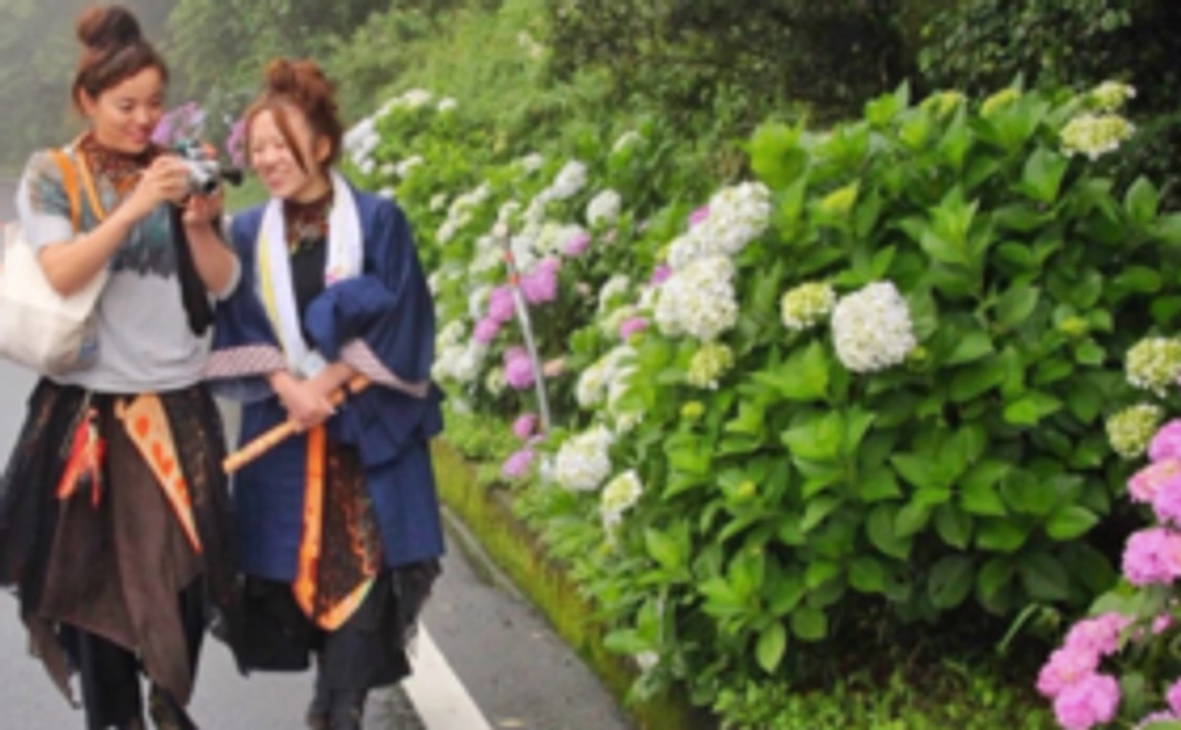 【ネクストゴール挑戦記念】発足記念公演「まといあわせ」を観に行こう！（チケット1枚）