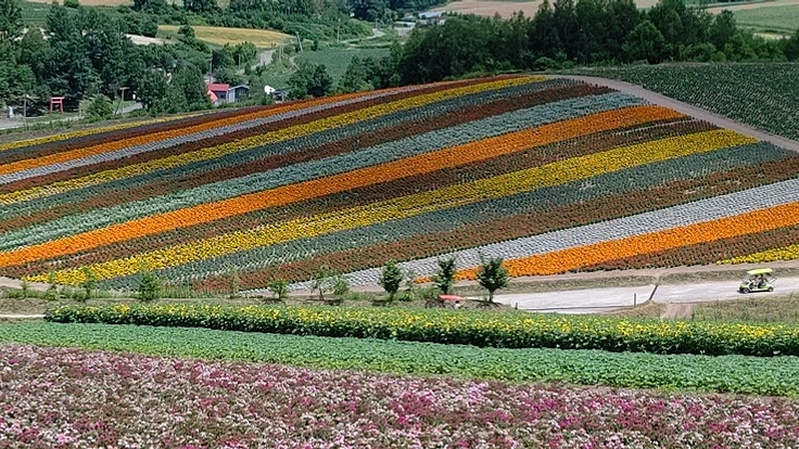 北海道 農地再生 プロジェクト
