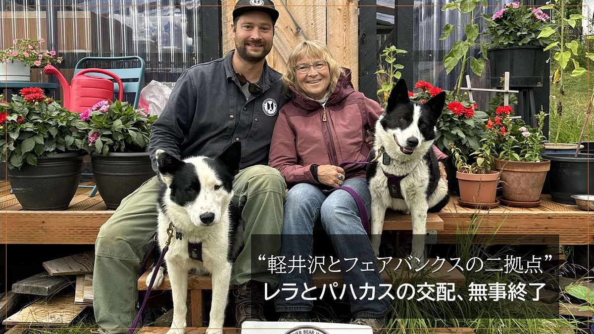 “軽井沢とフェアバンクスの二拠点” レラとパハカスの交配、無事終了